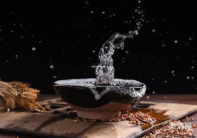 茅台王子酒排名全览表