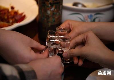 十大名酒排名及前100名白酒排名(十大名酒白酒价格表)
