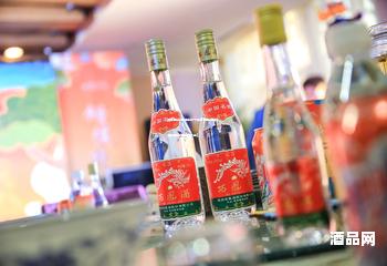 浓香型白酒排名前十名有哪些牌子(浓香型白酒品牌大全)