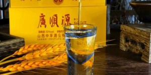 酒水招商加盟网官网查询,酒水招商加盟网官网查询电话