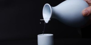 飞天茅台低度酒,茅台低度酒多少价格