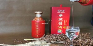 茅台王子六瓶一箱价格(茅台王子酒53度6瓶装一箱多少钱)