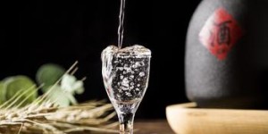 广西酱酒品牌大全有哪些名字,广西酱料厂有哪些