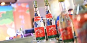 便宜的酱香酒有哪些品牌好的,便宜的酱香酒有哪些品牌好的呢