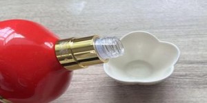 五粮液加盟代理加盟条件(五粮液 加盟)