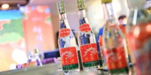 剑南春酒38度多少钱一瓶,剑南春酒38度价格多少