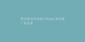 贵州茅台利润表分析ppt,茅台酒厂利润表