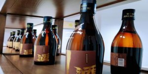 茅台王子酒是哪里生产的(茅台王子在哪个酒厂生产)