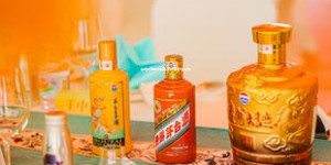 茅台代理权价格多少钱,茅台酒代理价