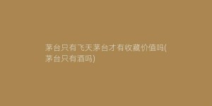茅台只有飞天茅台才有收藏价值吗(茅台只有酒吗)