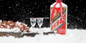 飞天茅台哪里买保真(飞天茅台哪里买保真的)