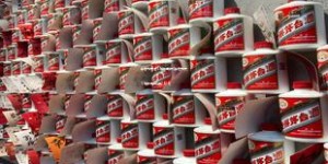 茅台飞天酒53度价格表(茅台飞天53度价格正品2020)