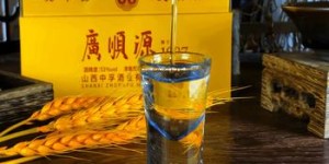 五粮液怎么代理卖(五粮液白酒如何代理)