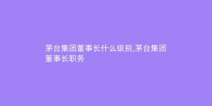 茅台集团董事长什么级别,茅台集团董事长职务