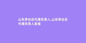 山东茅台总代理负责人,山东茅台总代理负责人是谁