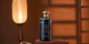 贵州迎宾酒t20(贵州迎宾酒T20酱多少钱)