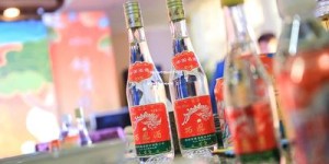 53度贵州茅台酒多少钱一瓶(53度 贵州茅台酒价格查询)