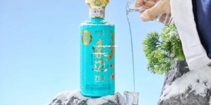 十大名酒白酒排行榜中国(十大名酒白酒排行榜中国第一)