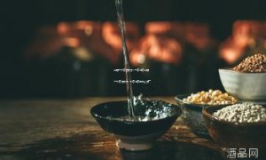 中国十大名酒白酒前十名排名,中国十大名酒白酒前十名排名是那些酒厂