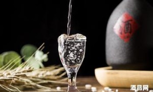 黔派酱香酒(黔派酱香酒多少钱一瓶)