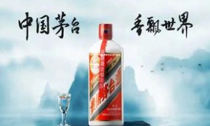 飞天茅台外包装标志大全,贵州茅台飞天外包装